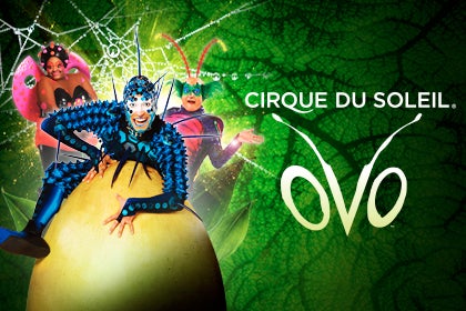More Info for Cirque du Soleil OVO